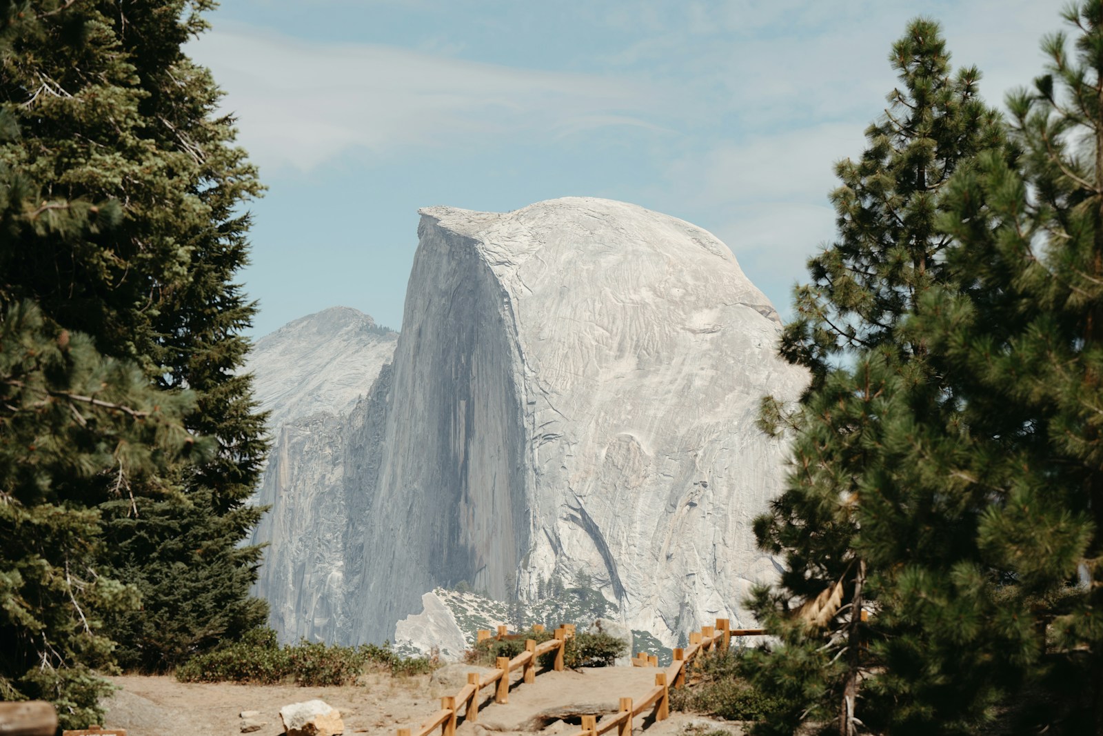 A large rock in the middle of a forest